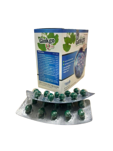 GINKGO Q10 vinaphar (h/100v)