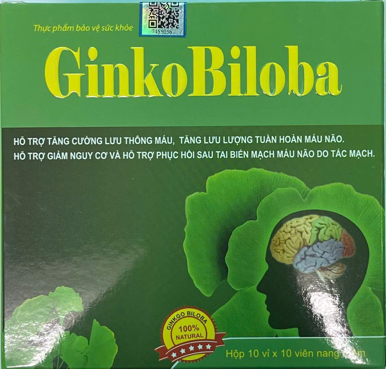 Ginkobiloba Tăng cường máu não vinaphar (h/100v)