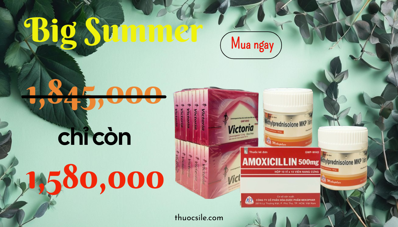Mùa Hè Sảng Khoái – Bù Dịch Đầy Đủ, Giảm Giá Hấp Dẫn