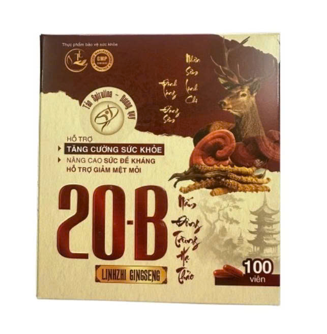 Thực Phẩm Bảo Vệ Sức Khỏe 20-BLINHZHI GINGSENG- Nấm Đông Trùng Hạ Thảo