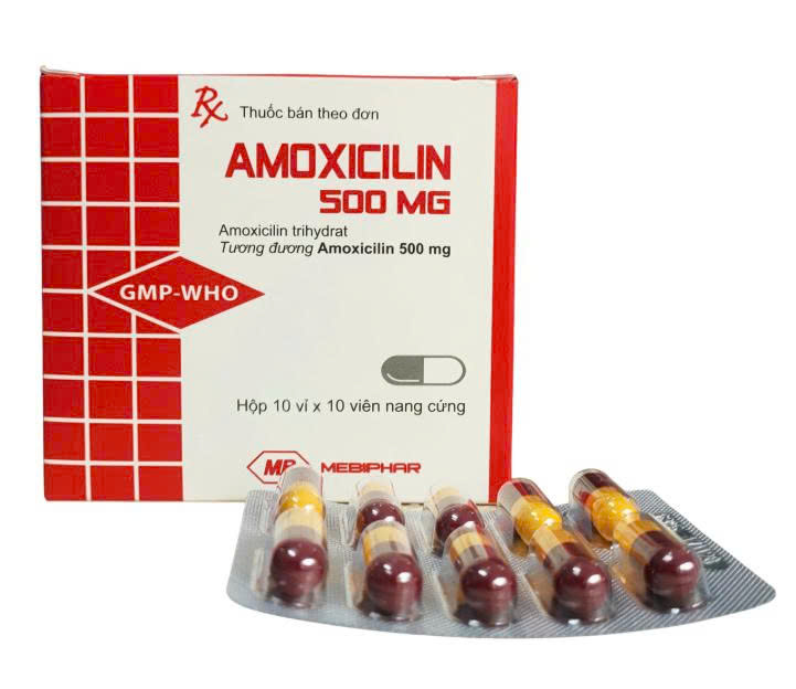 AMOXICILIN 500mg Mediplantex (H/100v)