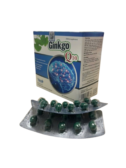 GINKGO Q10 vinaphar (h/100v)
